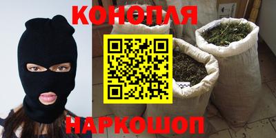 гидра Новодвинск