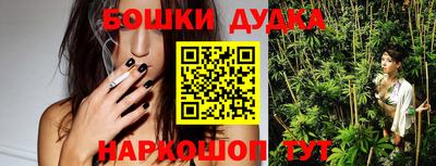 гидра Новодвинск