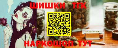 гидра Новодвинск