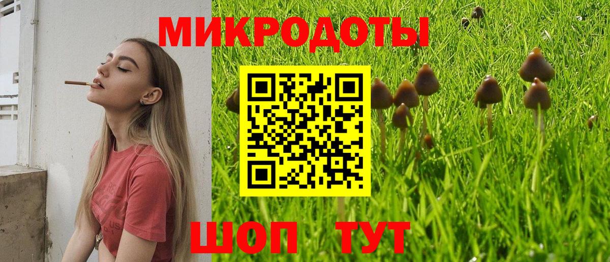 Псилоцибиновые грибы ЛСД Сочи