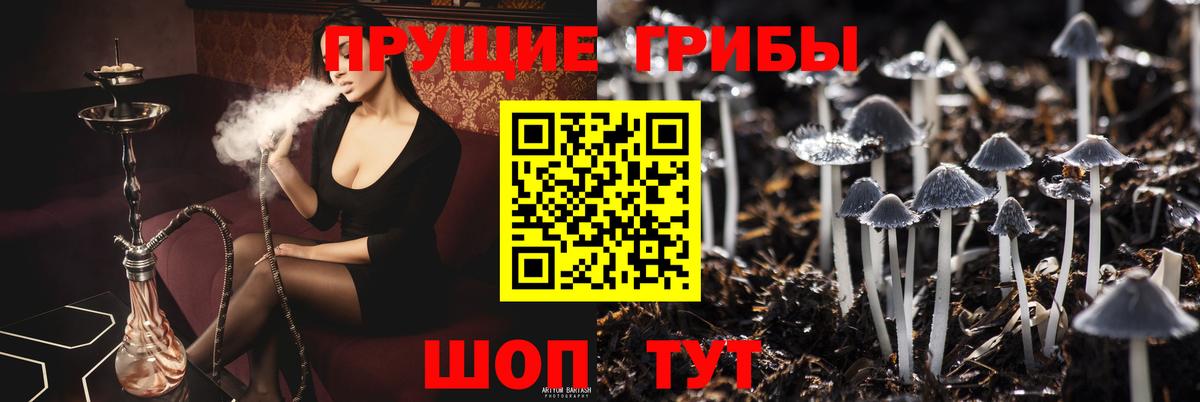 Сочи  Галлюциногенные грибы MAGIC MUSHROOMS  Вход с VPN  Псилоцибиновые грибы мухоморы 